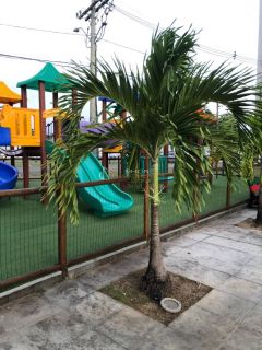 Apartamento 2/4 e 1 suíte Piatã