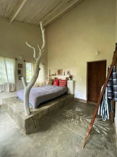 Chapada Diamantina - Pousada com 12,75 Hectares - Palmeiras - Lençois