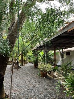 Chapada Diamantina - Pousada com 12,75 Hectares - Palmeiras - Lençois