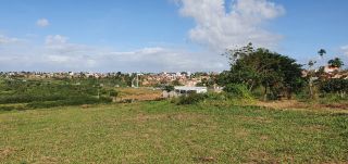 Lotes Condomínio Para Vender Genipapo em Sapeaçu
