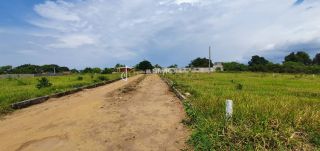 Lotes Condomínio Para Vender Genipapo em Sapeaçu