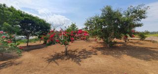 Lotes Condomínio Para Vender Genipapo em Sapeaçu