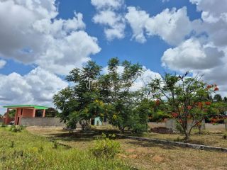 Lotes Condomínio Para Vender Genipapo em Sapeaçu