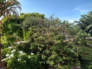 Casa Solta  3/4 e 1 suíte  Ipitanga  cod 20060