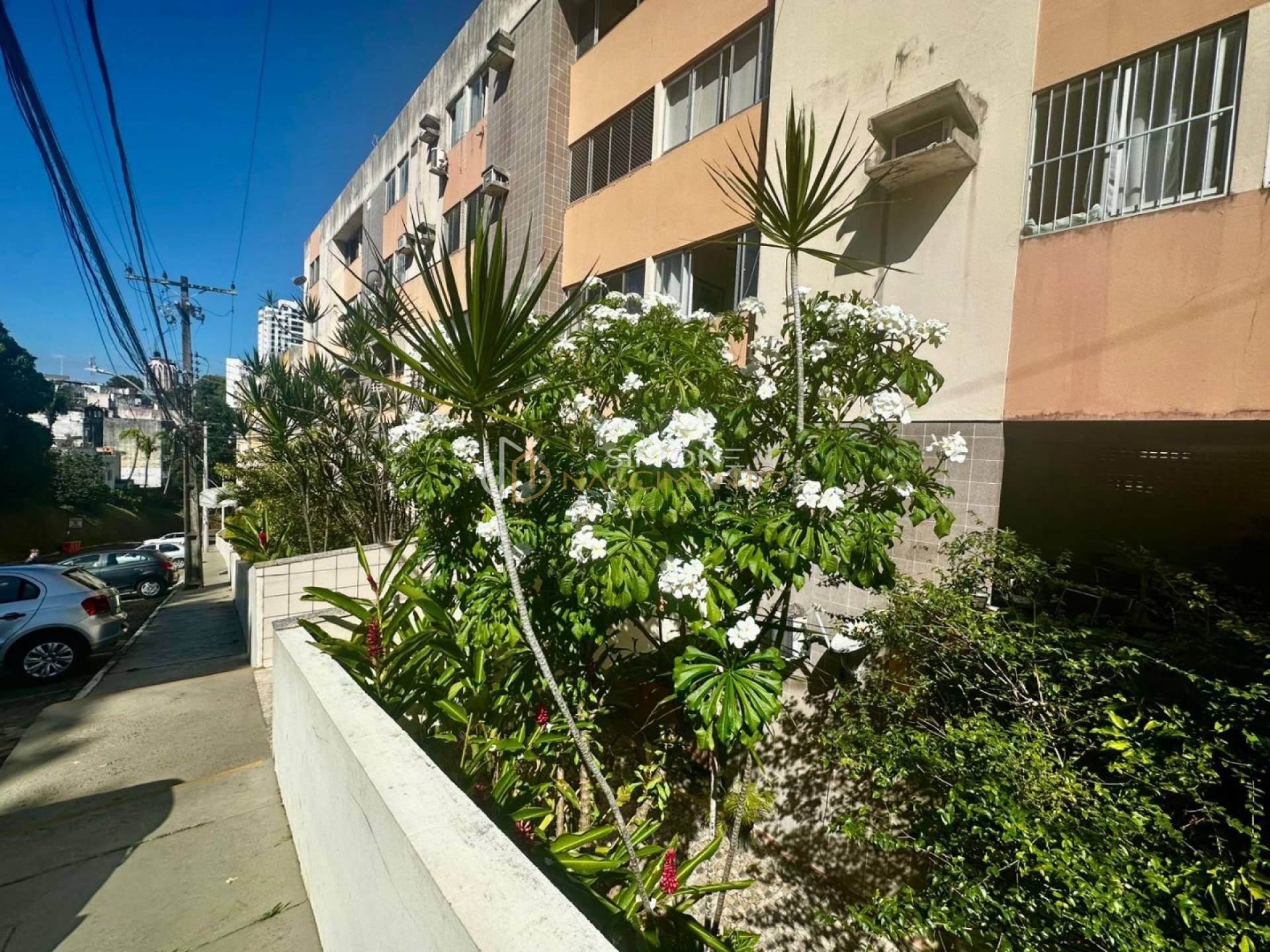 Apartamento  3 /4  Luiz Anselmo