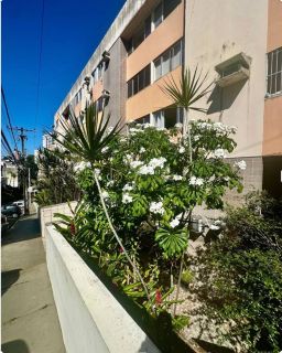 Apartamento  3 /4  Luiz Anselmo