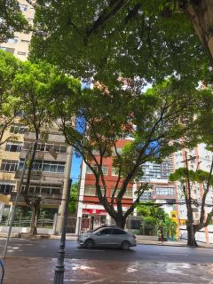 Apartamento Para Vender com 03 quartos 1 suítes no bairro Campo Grande em Salvador