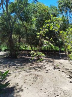 Lote / Terreno de Condomínio Para Vender no bairro Vale do Pati em Palmeiras  -CAPÃO - CHAPADA DIAMANTINA