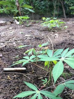 Lote / Terreno de Condomínio Para Vender no bairro Vale do Pati em Palmeiras - CAPÃO - CHAPADA DIAMANTINA