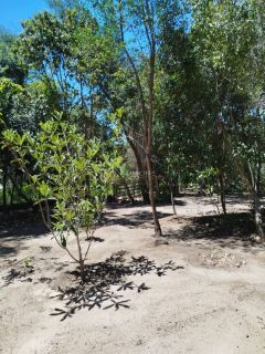 Lote / Terreno de Condomínio Para Vender no bairro Vale do Pati em Palmeiras - CAPÃO - CHAPADA DIAMANTINA