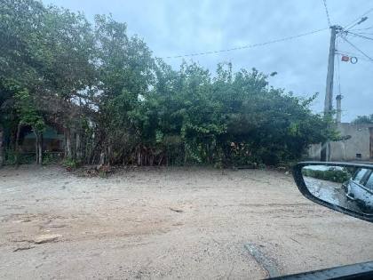 OPORTUNIDADE CAIXA | TERRENO EM CHICHA – IBOTIRAMA COM 60% DE DESCONTO