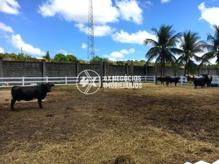 Terreno à Venda no Condomínio Haras Residence em São Cristóvão/SE