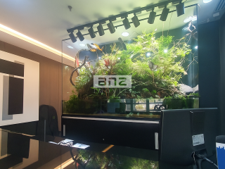 CONJUNTO SALAS COMERCIAIS LOCAÇÃO - HADDOCK LOBO