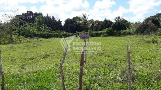 Terreno à venda em Itaporanga – Povoado Salvador