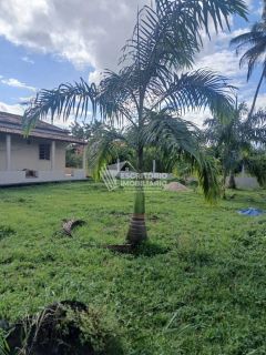 Chácara na Beira da Pista com 3 Quartos e Área Arborizada – Povoado Moita Formosa, Itaporanga