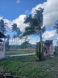 Chácara na Beira da Pista com 3 Quartos e Área Arborizada – Povoado Moita Formosa, Itaporanga