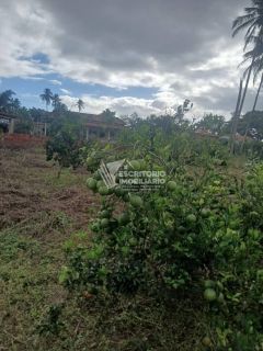 Chácara na Beira da Pista com 3 Quartos e Área Arborizada – Povoado Moita Formosa, Itaporanga