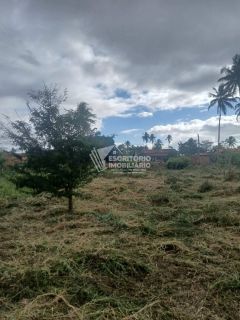 Chácara na Beira da Pista com 3 Quartos e Área Arborizada – Povoado Moita Formosa, Itaporanga