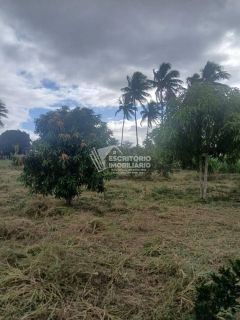 Chácara na Beira da Pista com 3 Quartos e Área Arborizada – Povoado Moita Formosa, Itaporanga