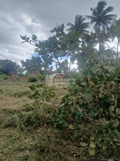 Chácara na Beira da Pista com 3 Quartos e Área Arborizada – Povoado Moita Formosa, Itaporanga