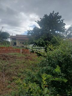 Chácara na Beira da Pista com 3 Quartos e Área Arborizada – Povoado Moita Formosa, Itaporanga