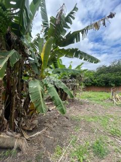 Propriedade 2.430 m2 no povoado Araticum Itaporanga d'Ajuda