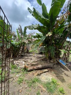 Propriedade 2.430 m2 no povoado Araticum Itaporanga d'Ajuda