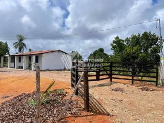 Sítio de 14 tarefas com casa sede e nascente-nova descoberta Itaporanga d'Ajuda