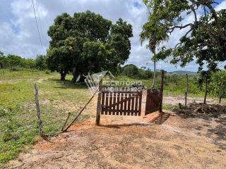 Sítio de 14 tarefas com casa sede e nascente-nova descoberta Itaporanga d'Ajuda