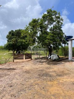 Sítio de 14 tarefas com casa sede e nascente-nova descoberta Itaporanga d'Ajuda