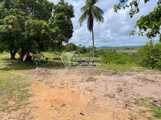 Sítio de 14 tarefas com casa sede e nascente-nova descoberta Itaporanga d'Ajuda