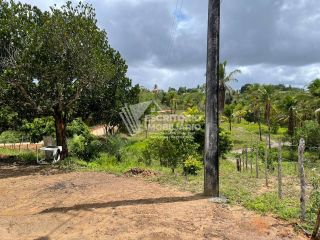 Sítio de 14 tarefas com casa sede e nascente-nova descoberta Itaporanga d'Ajuda