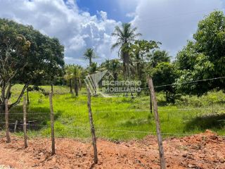 Sítio de 14 tarefas com casa sede e nascente-nova descoberta Itaporanga d'Ajuda