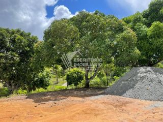 Sítio de 14 tarefas com casa sede e nascente-nova descoberta Itaporanga d'Ajuda