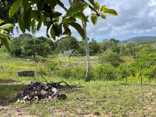 Sítio de 14 tarefas com casa sede e nascente-nova descoberta Itaporanga d'Ajuda
