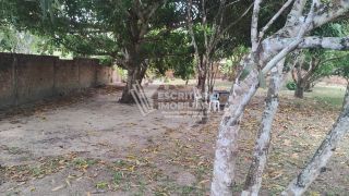 Chácara Para Vender com 3 quartos 1 suítes