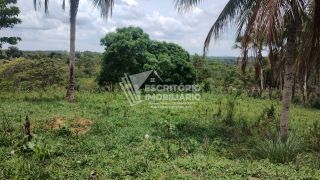 Oportunidade! Chácara à venda em itaporanga da Ajuda
