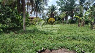 Oportunidade! Chácara à venda em itaporanga da Ajuda