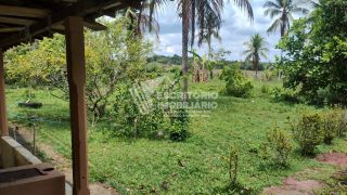 Oportunidade! Chácara à venda em itaporanga da Ajuda