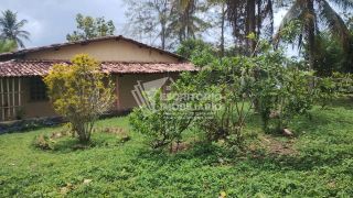 Oportunidade! Chácara à venda em itaporanga da Ajuda