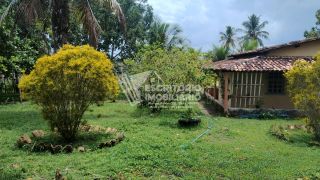 Oportunidade! Chácara à venda em itaporanga da Ajuda