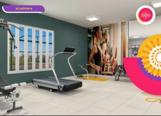 Doce Vida Girassóis