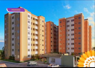 Doce Vida Girassóis