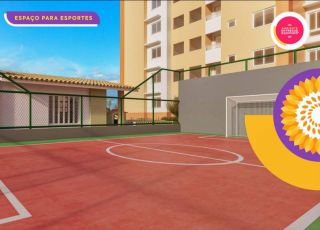 Doce Vida Girassóis