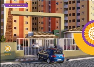 Doce Vida Girassóis