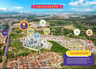 Doce Vida Girassóis