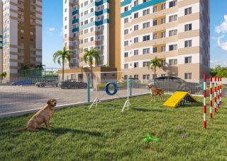 Flor de Lotus Mais Viver