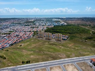 Flor de Lotus Mais Viver