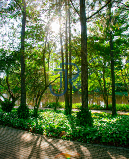 Residencial Terras de São José II em Itu/SP