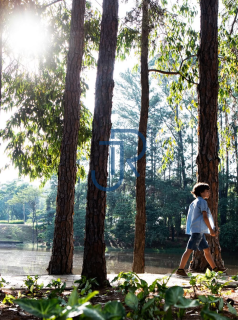 Residencial Terras de São José II em Itu/SP